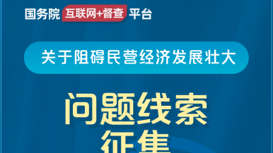 肏操入肏乱了母子国务院“互联网+督查”平台公开征集阻碍民营经济发展壮大问题线索